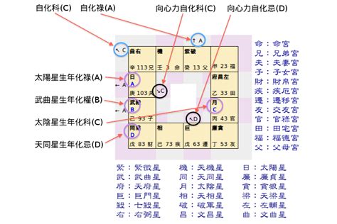 九宮 星盤|獨一無二的人生拼圖:命盤第九宮